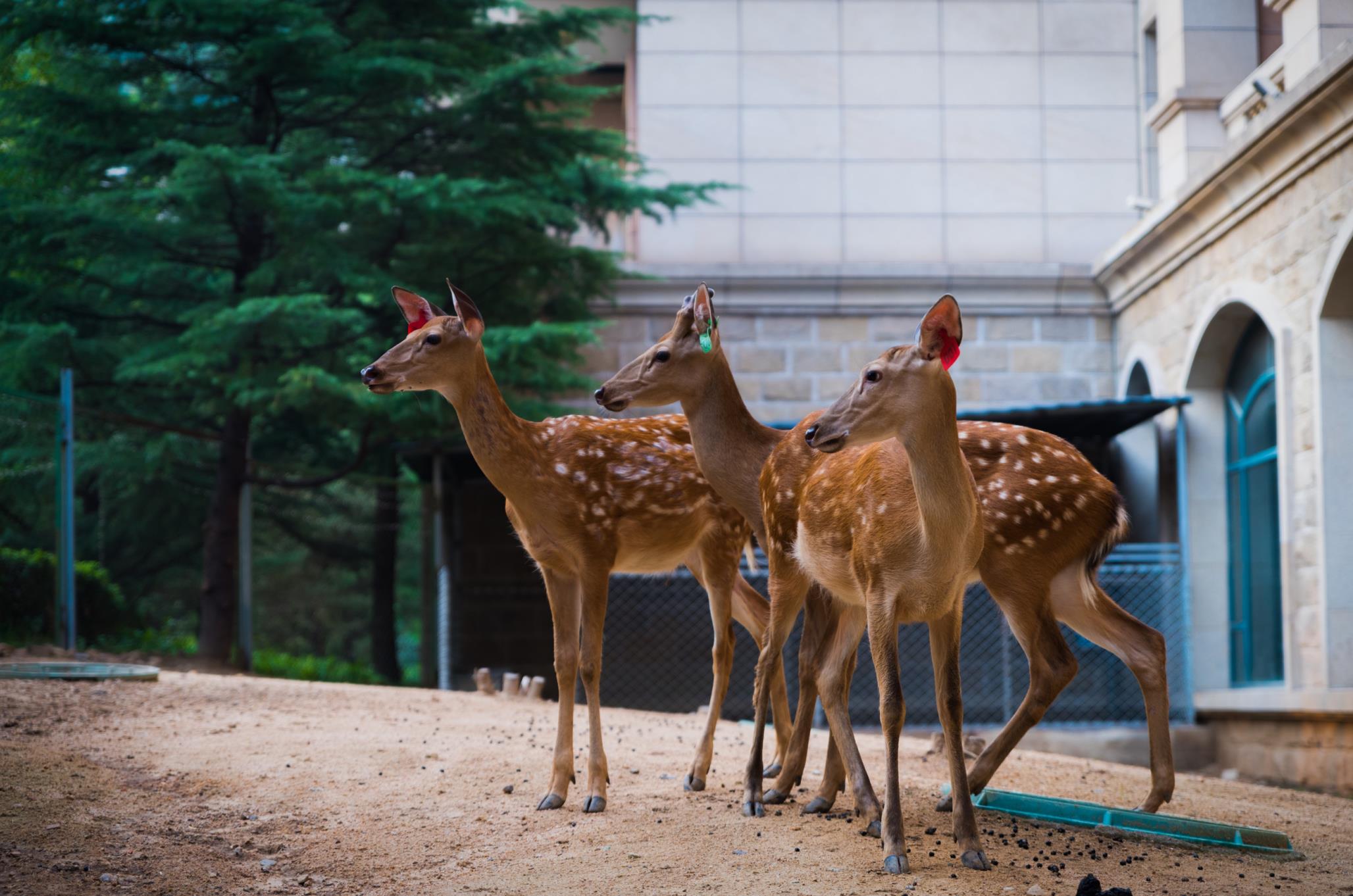 天津亲子游去哪里玩,天津周边自驾亲子游