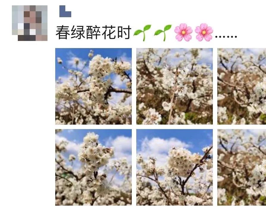 成都春游好去处周末 (成都周边周末春游推荐)