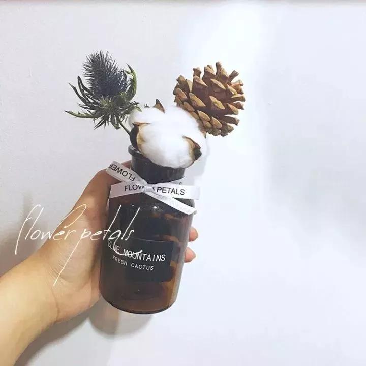 她用这种高颜值的干花装饰家里,隔壁邻居都惊叹不已