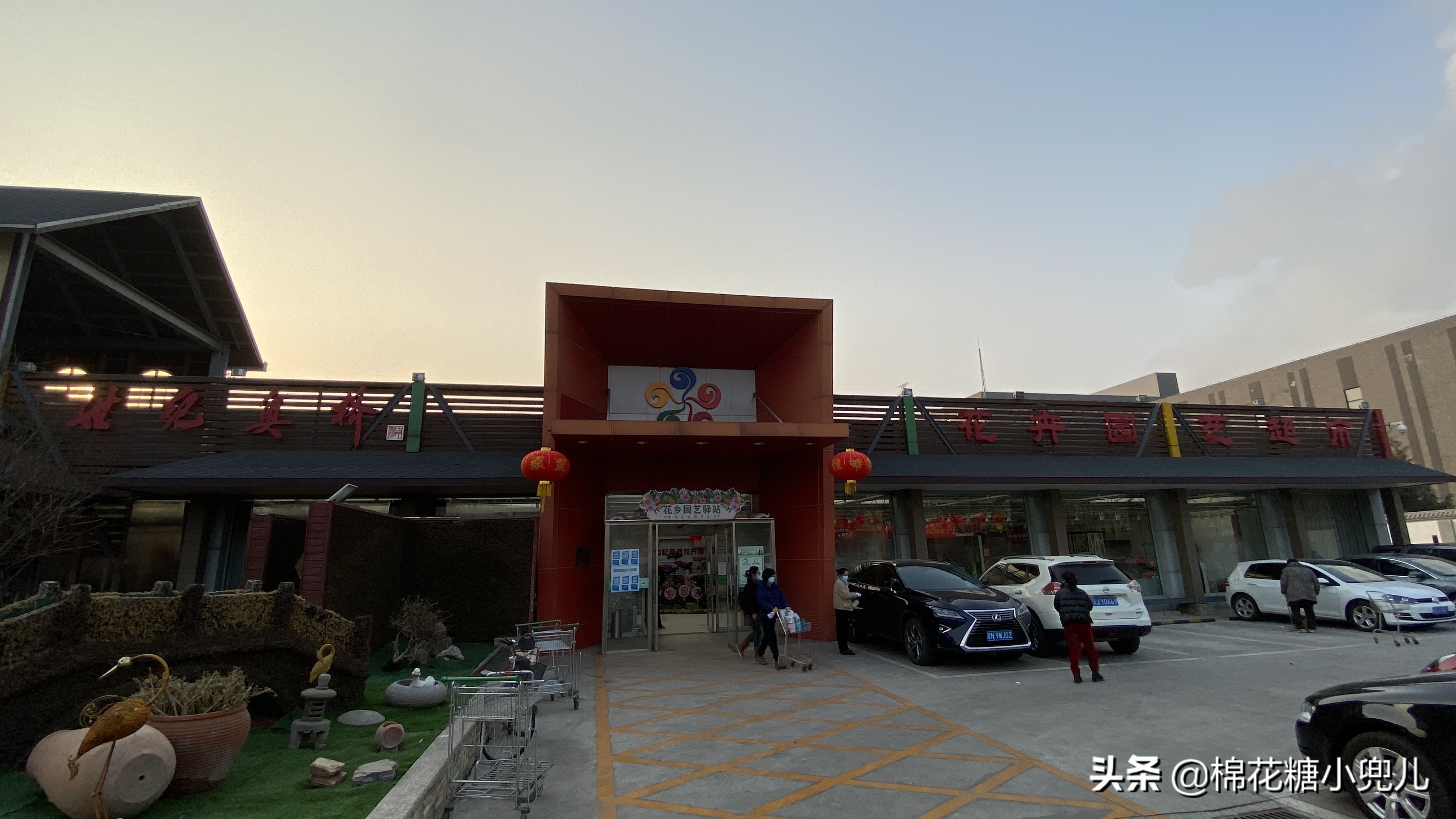 北京最大花卉绿植市场,北京最便宜绿植花卉市场