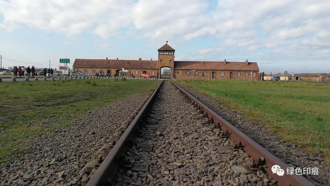 奥斯维辛集中营旅游,奥斯维辛集中营雏菊