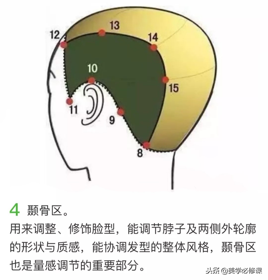美发基础知识点线面分区手法,美发教学基本功头发分区