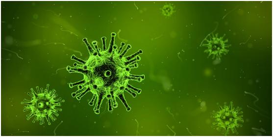 冰箱有异味可能是细菌爆满,冰箱冷藏食物过久会滋生哪些细菌