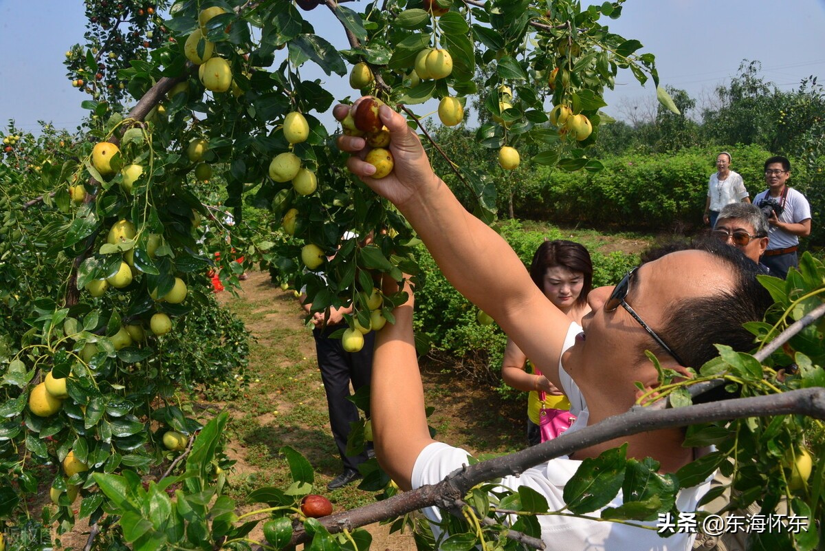 疆膳新疆特色美食,疆山美味新疆特产