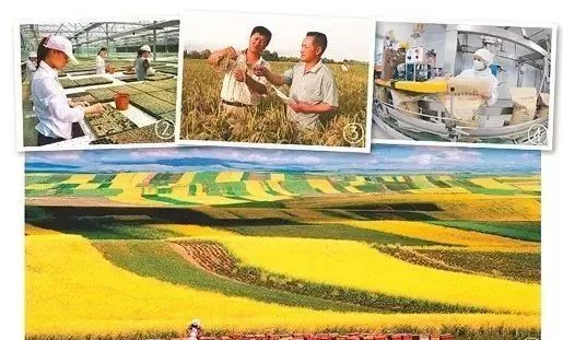 土壤对健康有害吗,土壤的危害与改善