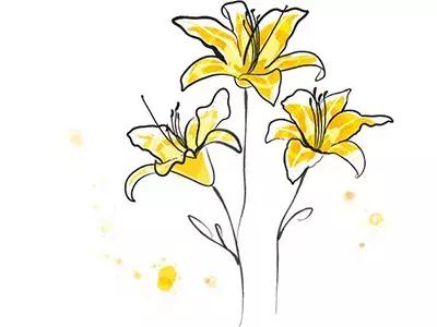 更年期功血止血食疗,更年期女人补铁最好的方法