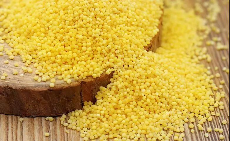 小米五谷杂粮的药用,小米养胃大全