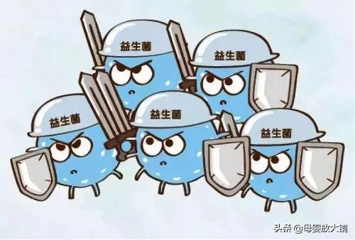 科普为什么说益生菌是最好的药,益生菌是夸大其词还是真实有效