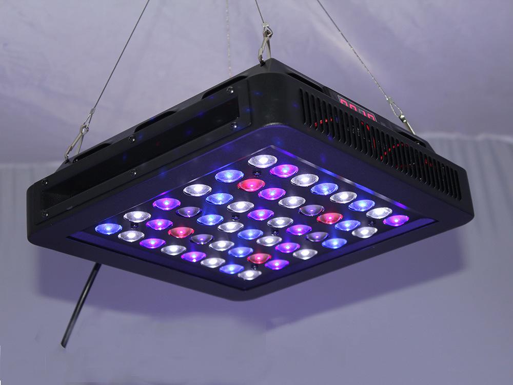 海缸都需要什么设备,海缸数值检测设备