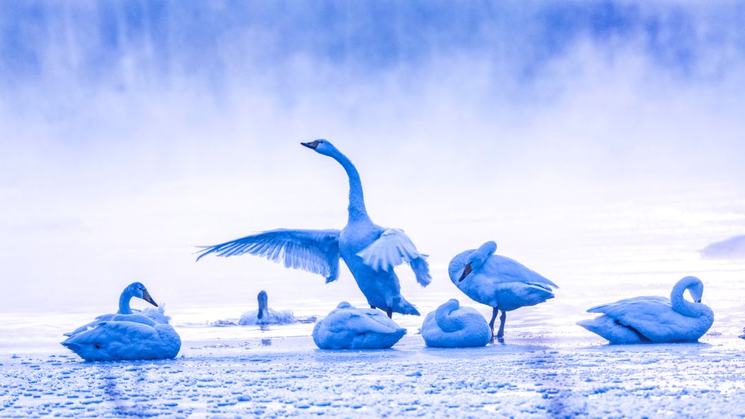 香港第14届全国摄影艺术展,第29届全国摄影艺术展览获奖名单