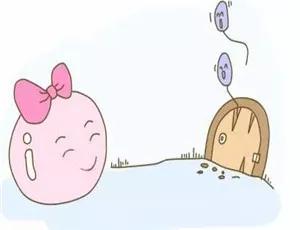 试管移植前怎么调理饮食注意事项,试管怀孕后前三个月饮食注意事项