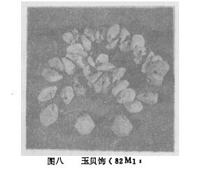 陕西户县南关春秋秦墓清理记
