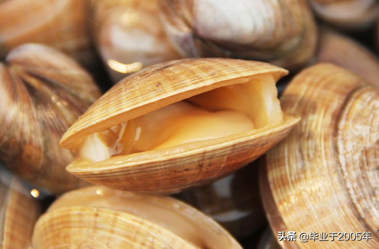 大连海鲜吃货,大连海鲜的种类