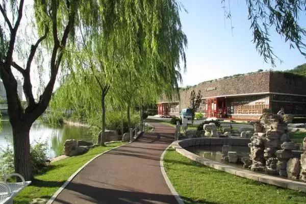 天津人都在这夜跑，连大明星都来打卡