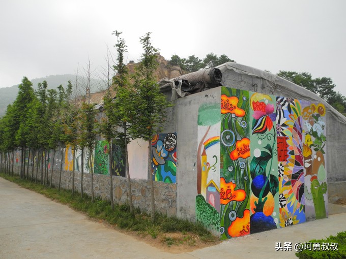 经验分享百强榜,青岛二中顶尖学子