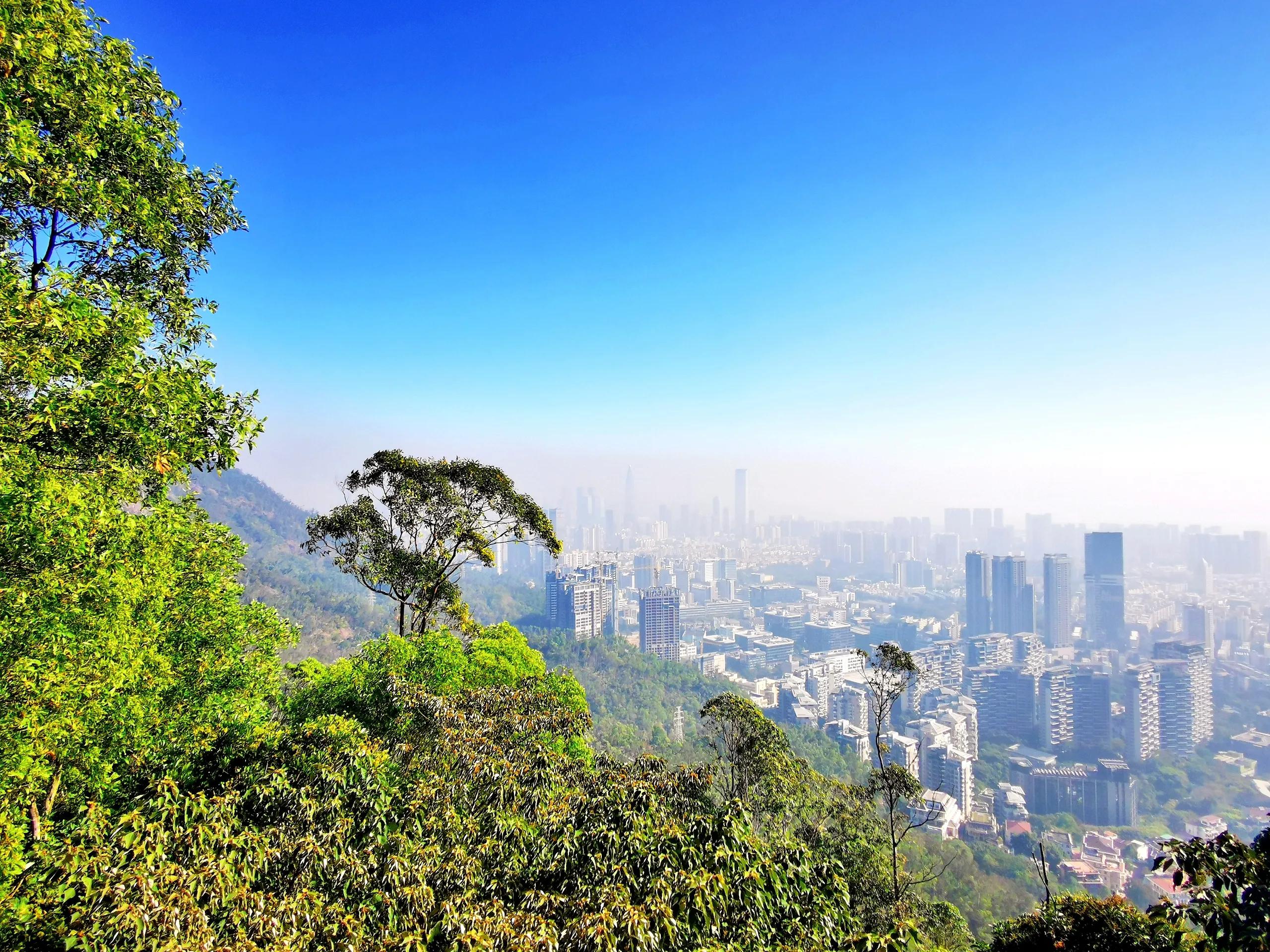 深圳公园山,远看深圳市南山公园