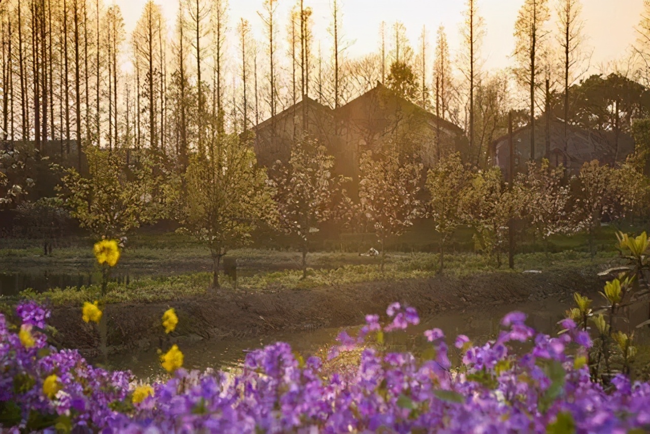 乌村推出一价全包模式的好处,乌村年接待游客量