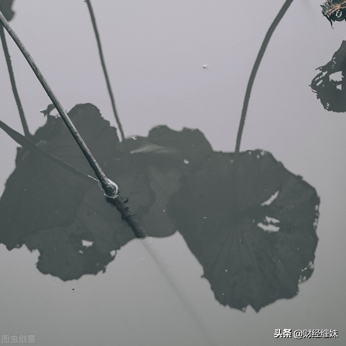 缠论的六种走势结构,缠论的趋势和操作