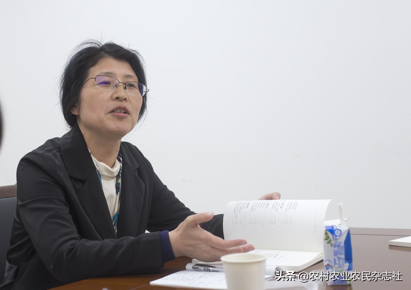 站在凤凰桥上看风景,站在台上看台下