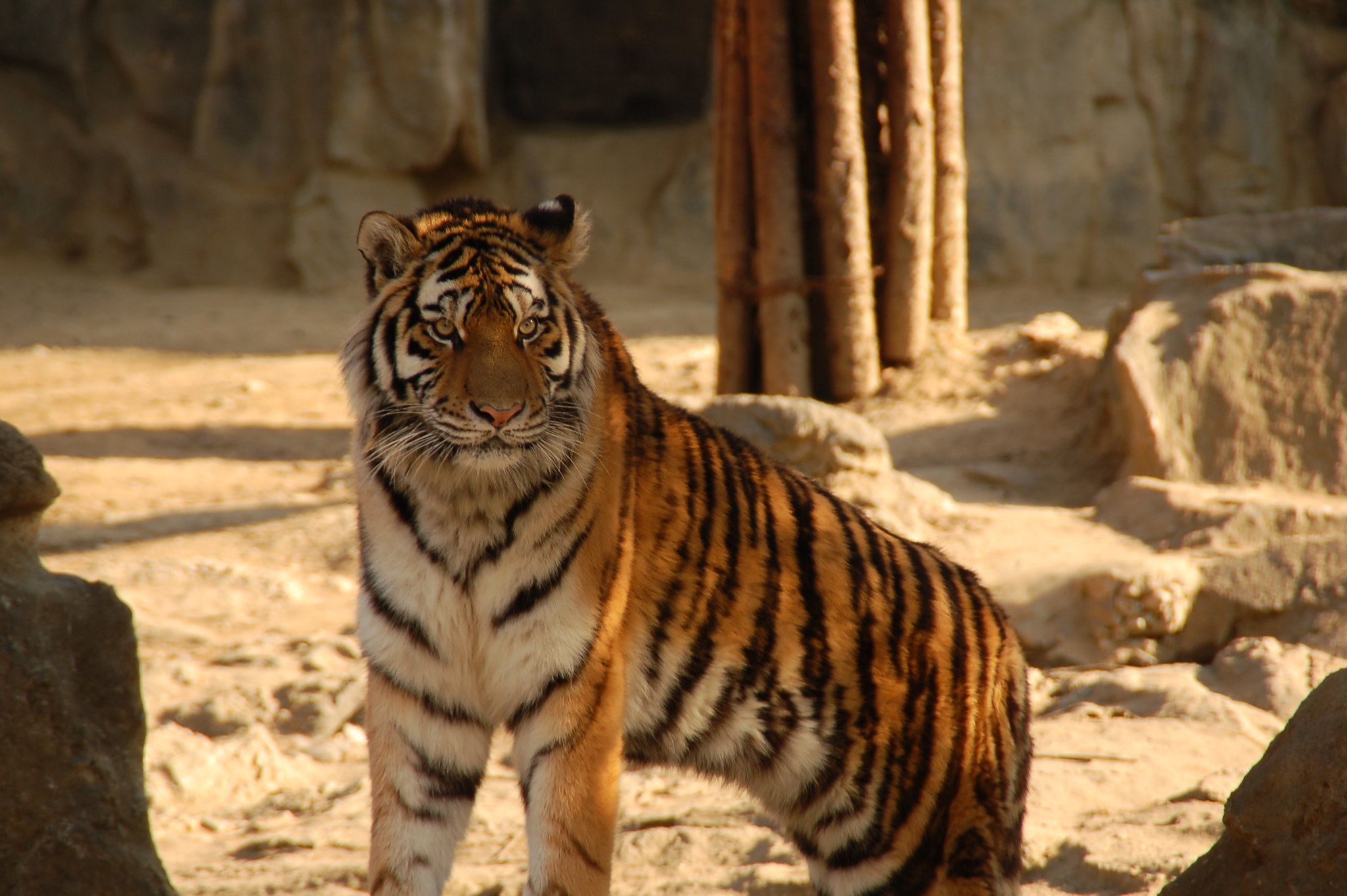去韩国需要买交通卡么 (去韩国旅游买什么公交卡最好)