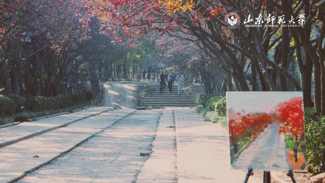 奖学金获得率70%、保研率31%,山东师范大学这3个学霸班级成绩逆天