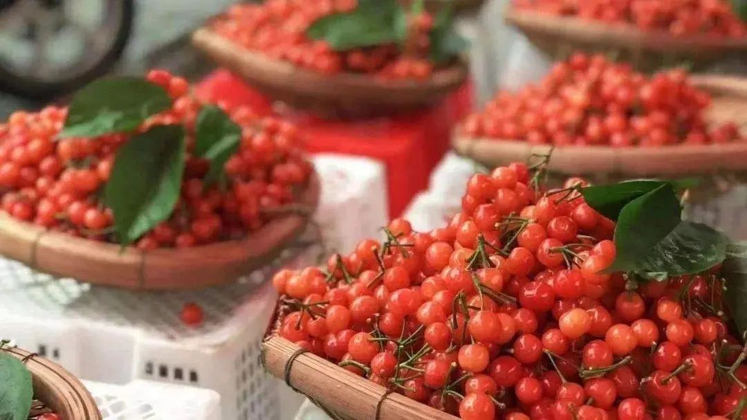 车厘子怎么在中国火起来的,车厘子在中国是怎么火的