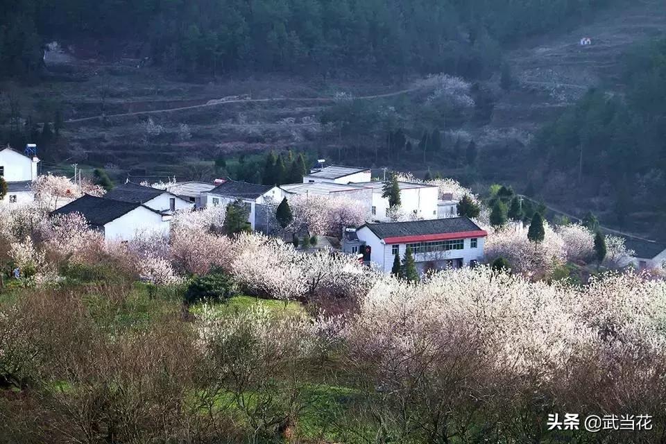 十堰郧阳区以后发展,十堰郧阳区前景