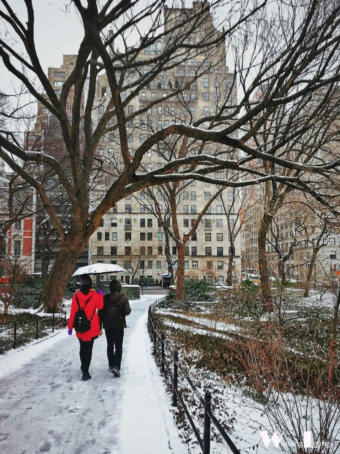 纽约中央公园世界奇迹,纽约中央公园浦东世纪公园