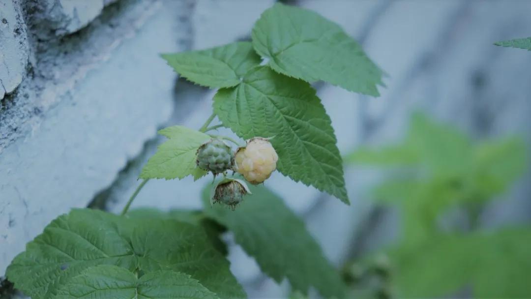 90后学霸创业6年融资近亿,90后学霸创业