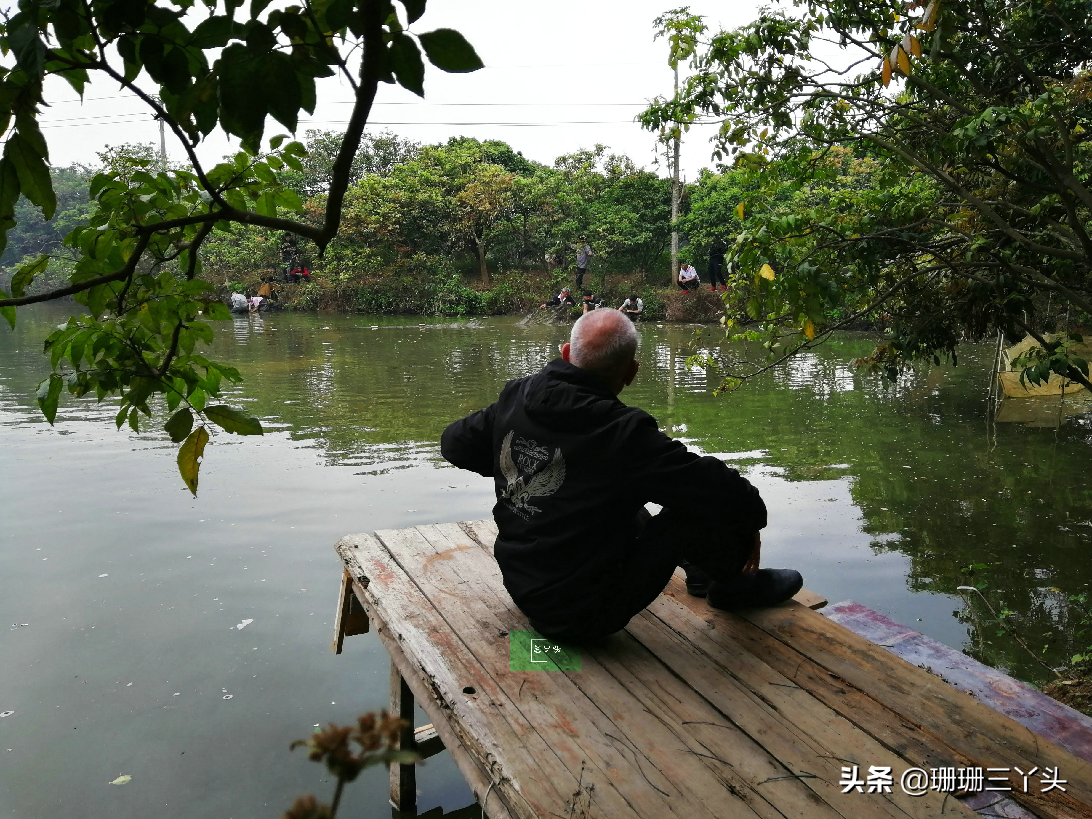 广州春季赏油菜花的地方,广州绝美油菜花海
