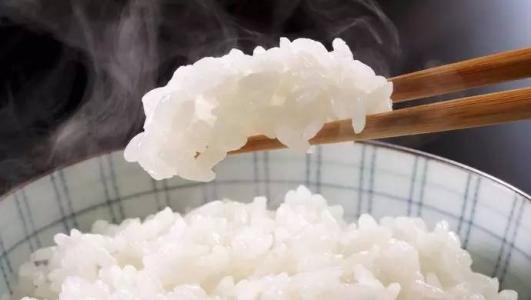 <html>
<head><title>502BadGateway</title></head>
<body>
<center><h1>502BadGateway</h1></center>
<hr><center>nginx</center>
</body>
</html>
<!--apaddingtodisableMSIEandChromefriendlyerrorpage-->
<!--apaddingtodisableMSIEandChromefriendlyerrorpage-->
<!--apaddingtodisableMSIEandChromefriendlyerrorpage-->
<!--apaddingtodisableMSIEandChromefriendlyerrorpage-->
<!--apaddingtodisableMSIEandChromefriendlyerrorpage-->
<!--apaddingtodisableMSIEandChromefriendlyerrorpage-->
