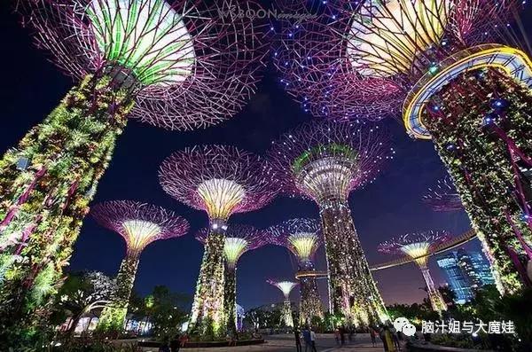 新加坡马来西亚泰国旅游攻略,新加坡马来西亚四日游攻略