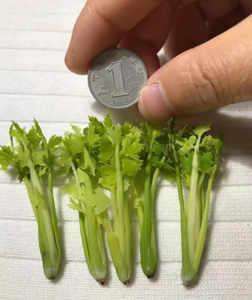 一个90后全职妈妈,一个90后的全职妈妈