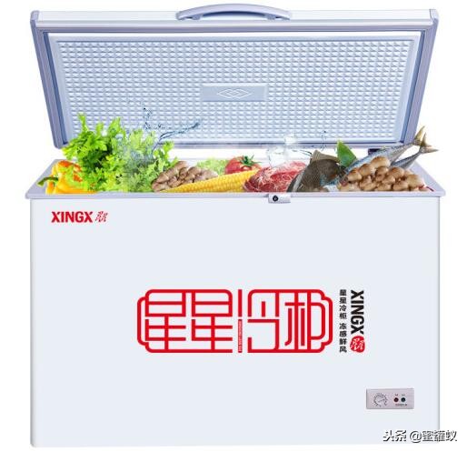 家用小冰柜什么牌子好价格是多少,国产冰柜哪个牌子的质量好
