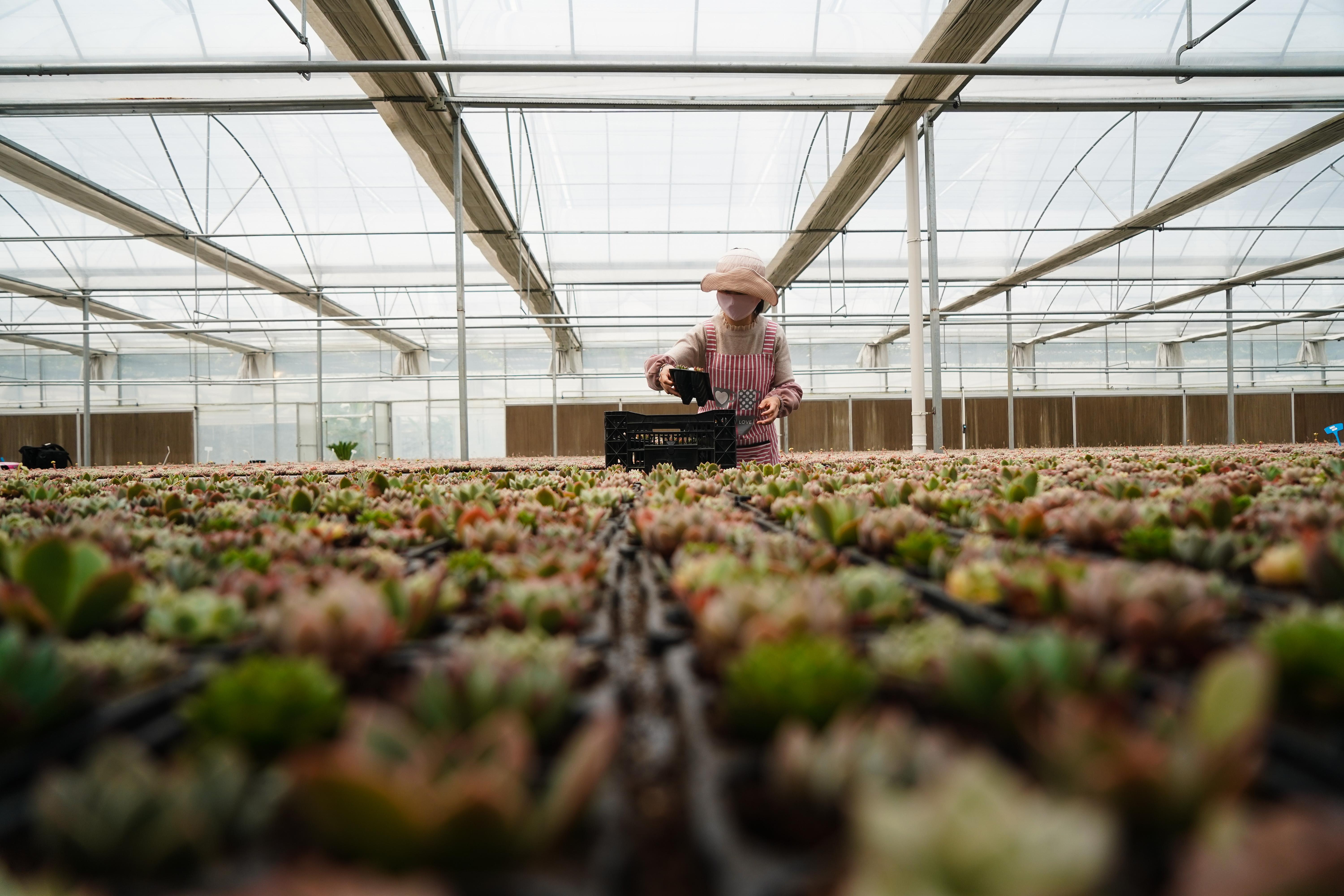 2018年农民的四大补贴,2022年农民补贴新政策出台