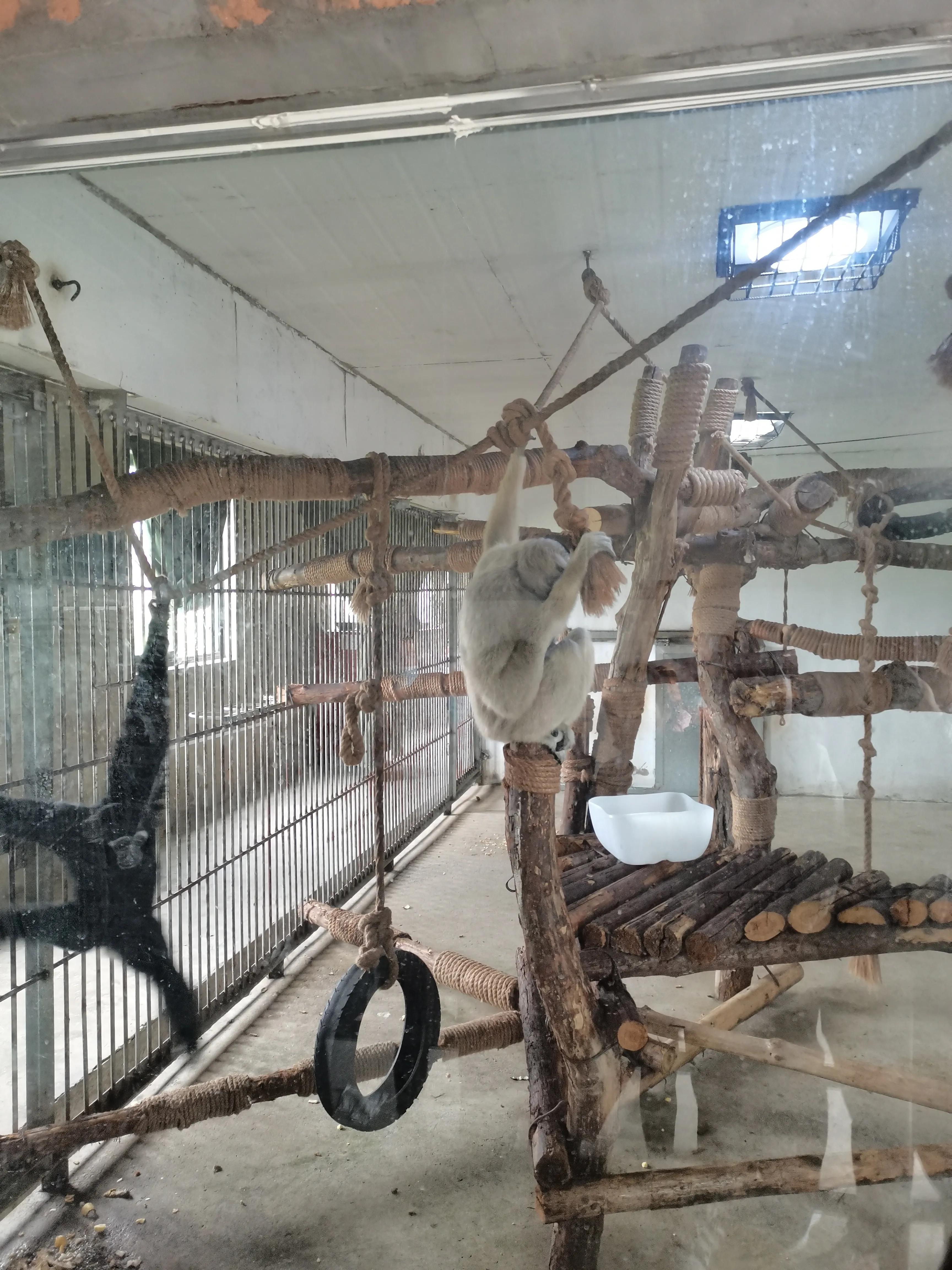 济南野生动物园和宿州野生动物园,宿州野生动物园到宿州皇藏峪