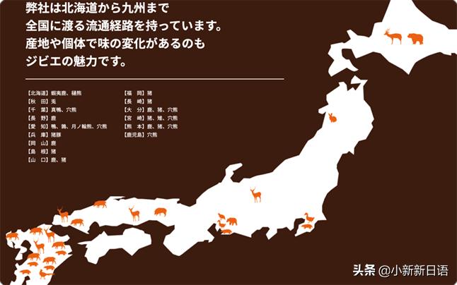 日本人为什么爱吃板栗,日本人为什么爱吃鱼