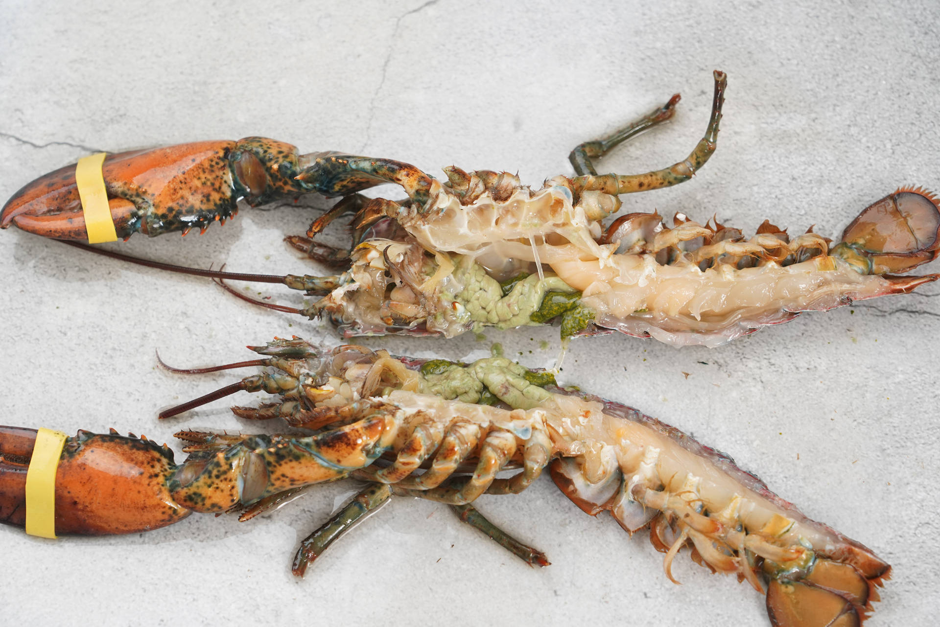 蒜蓉芝士焗龙虾的做法窍门视频,蒜蓉蒸波士顿龙虾的做法大全