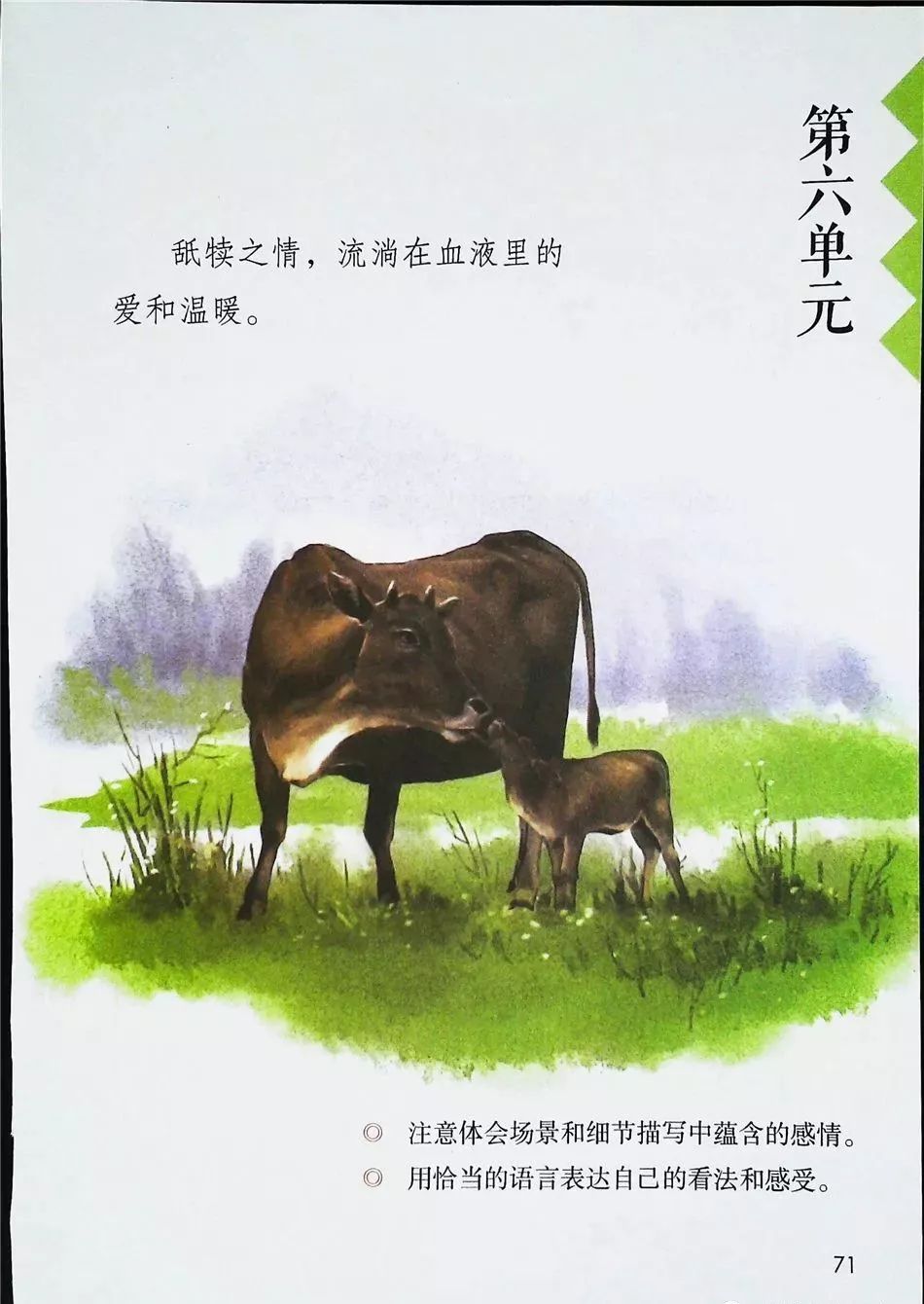 2021年版五年级下册语文电子课本,五年级下册语文长江电子课本2022