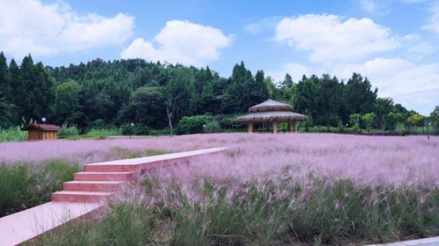 资阳旅游的好地方是哪里,资阳十一月哪里旅游最好