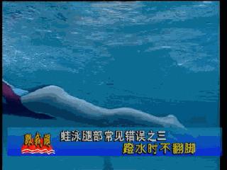 蛙泳腿部翻脚错误纠正,蛙泳在水中腿部翻脚忘记了怎么办