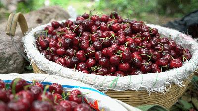 雅安旅行攻略亲子游,雅安市旅行攻略自由行路线