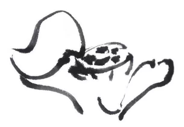 白描荷花100幅画法,荷花的画法白描图