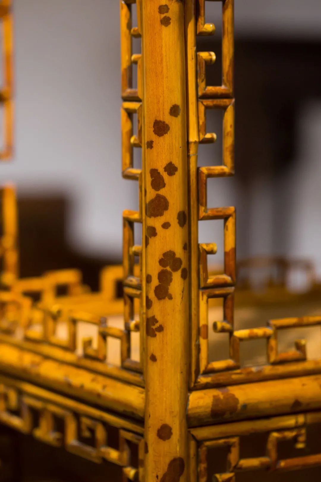 湘妃竹为什么贵,湘妃竹由来