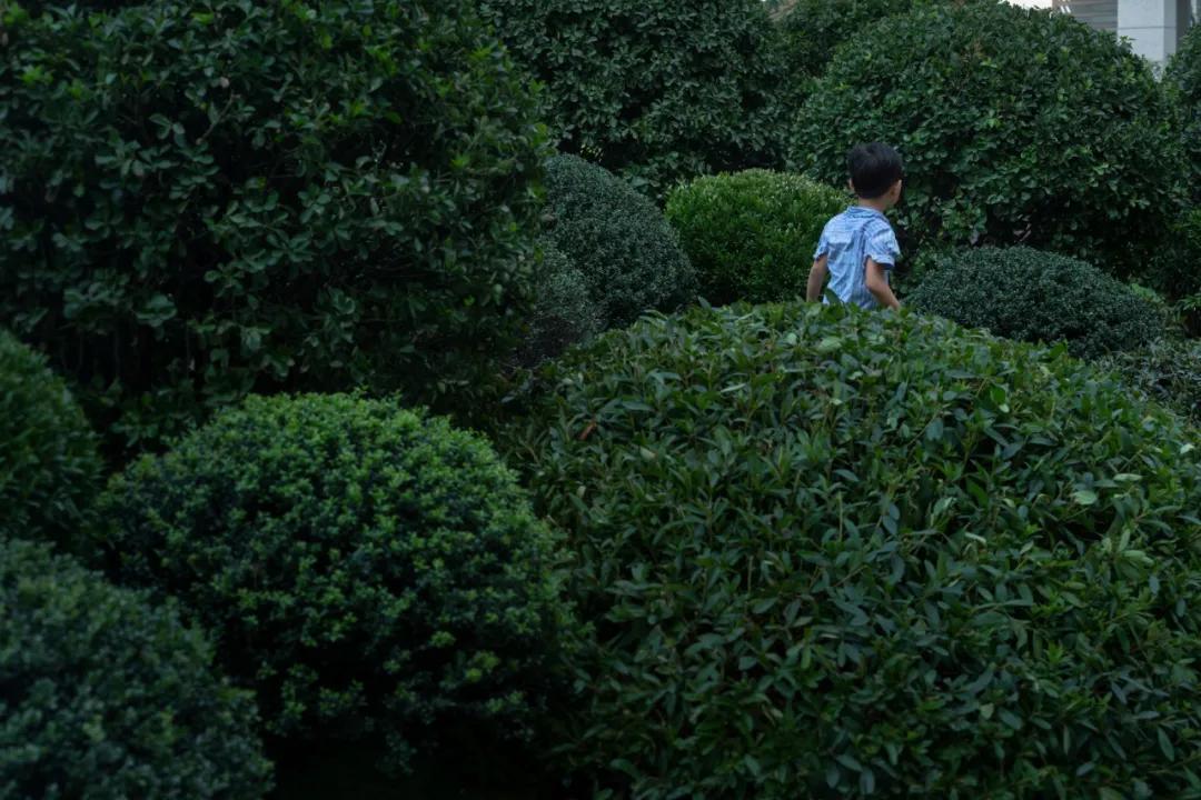 万科金开悦府,万科金开悦府高压线