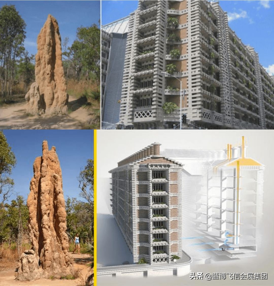 做设计都要会什么,设计时重要的事