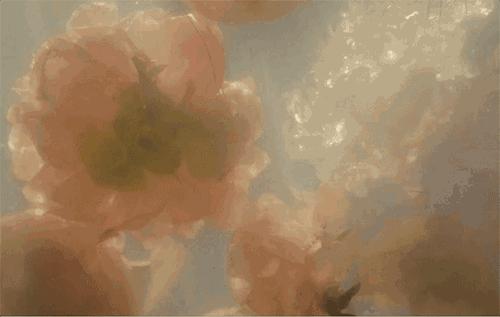 gucci5号香水,gucci5毫升香水