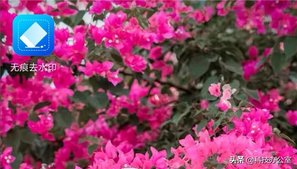 vivo手机如何去除照片上面的水印,照片上的水印怎么去掉手机