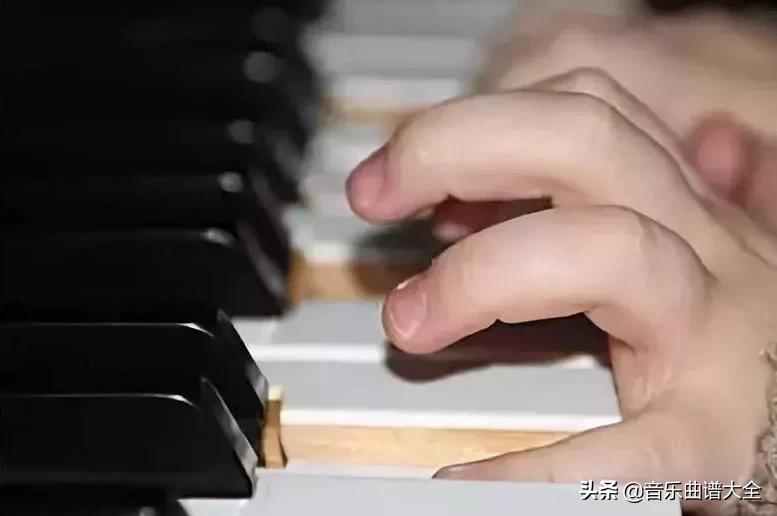 手特别小适合学什么乐器,手小是不是不适合弹钢琴