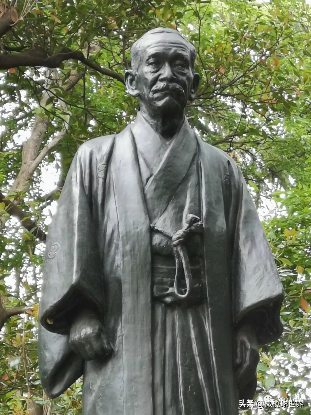 （转载）向着东京奥运会——已知中国首位奥运橄榄球门票购得者